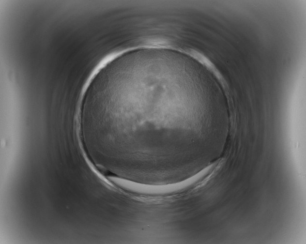 X0000086221432200704121849