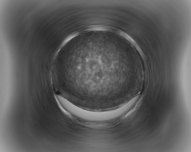 X0000086221433200704121849