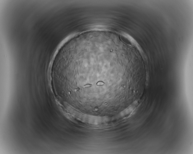 X0000086221435200704121849