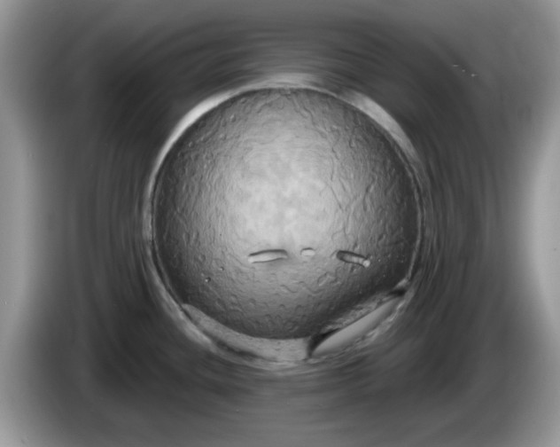 X0000086221436200704121849