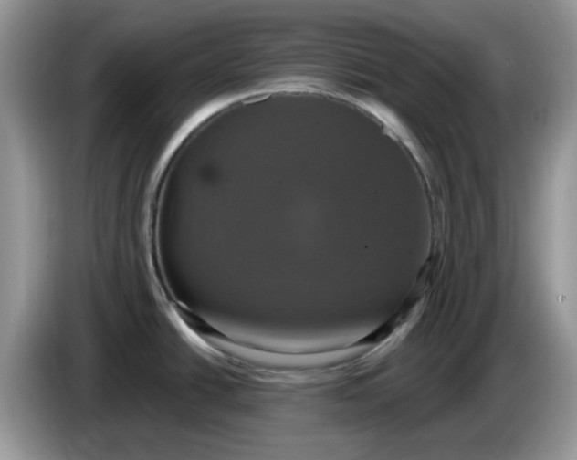 X0000086221438200704121849