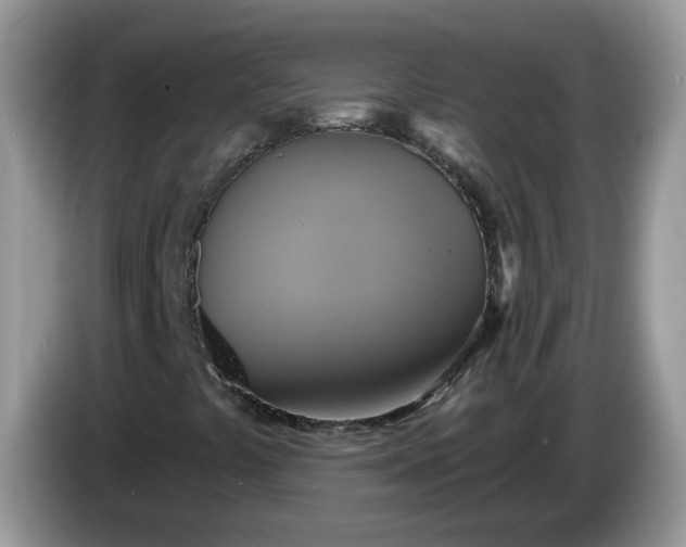 X0000086221441200704121848