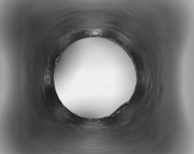 X0000086221442200704121848