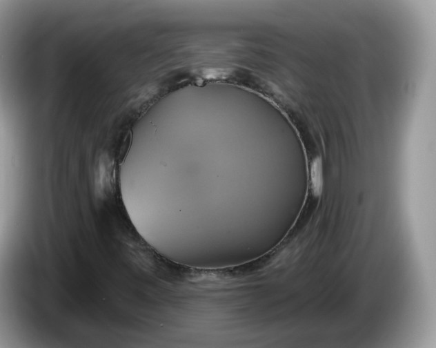 X0000086221443200704121848