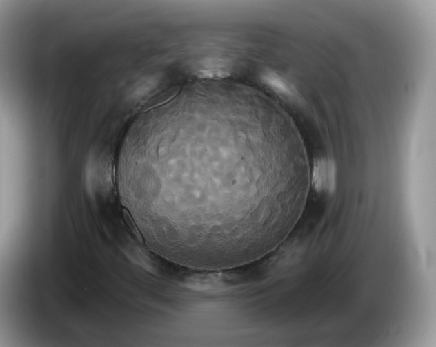 X0000086221444200704121848