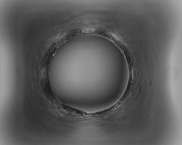 X0000086221445200704121848