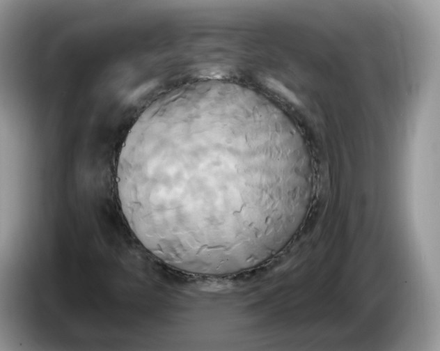 X0000086221446200704121848