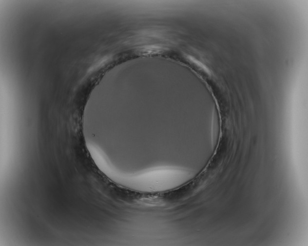 X0000086221447200704121848