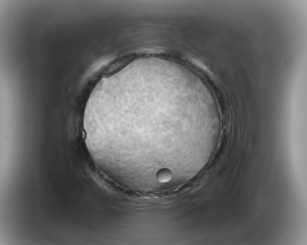 X0000086221448200704121848