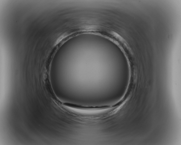 X0000086221449200704121848