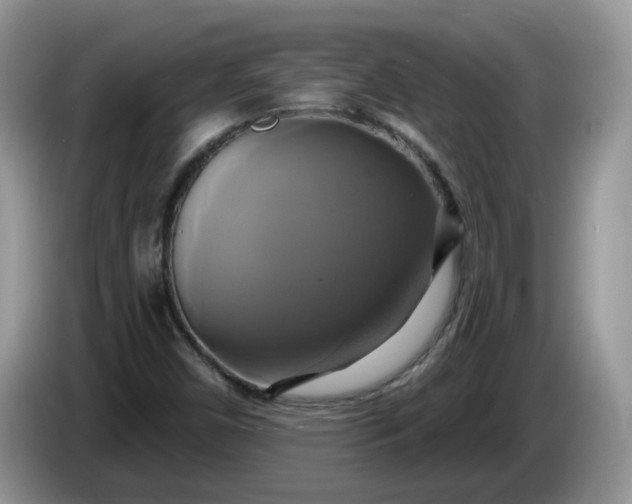 X0000086221450200704121848