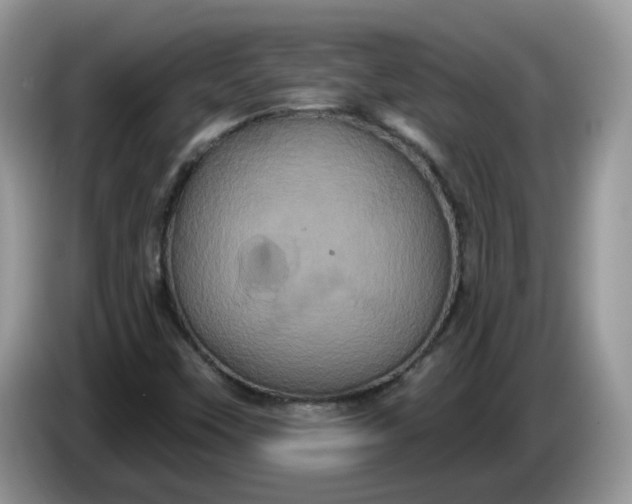 X0000086221451200704121848