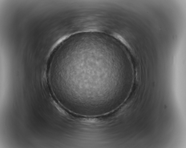 X0000086221452200704121848