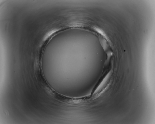 X0000086221453200704121848