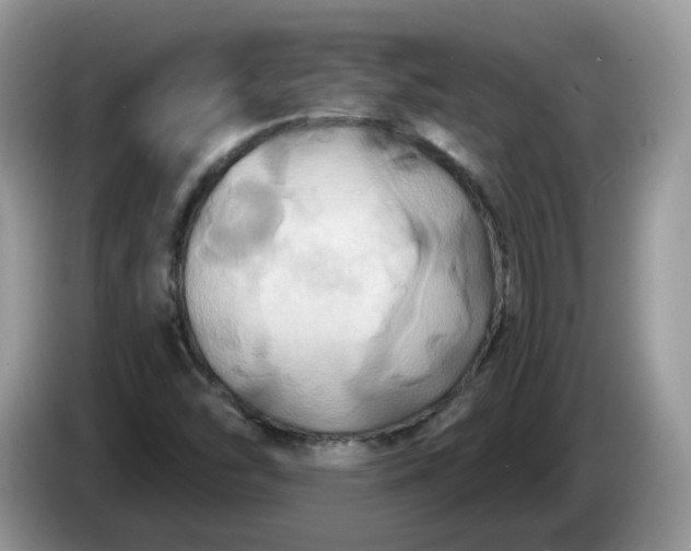 X0000086221454200704121848