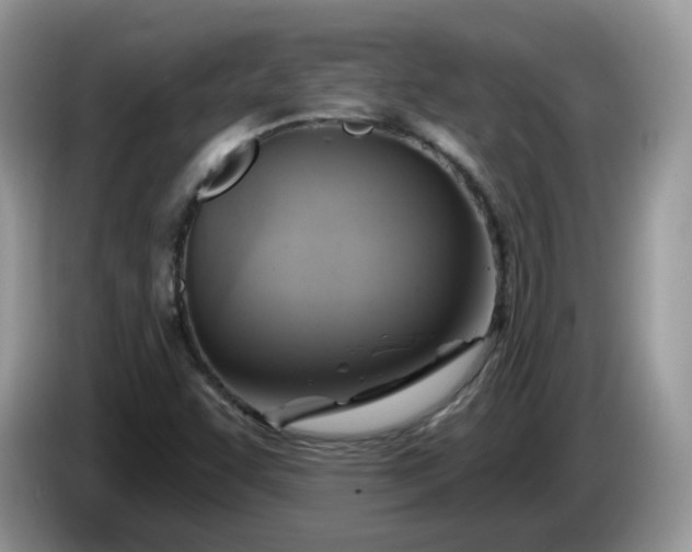 X0000086221455200704121848