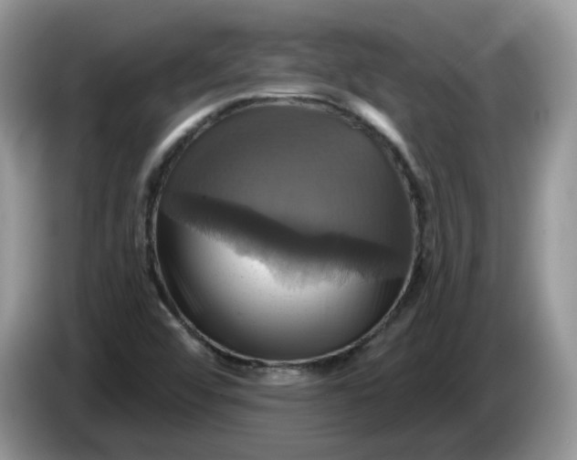 X0000086221456200704121848