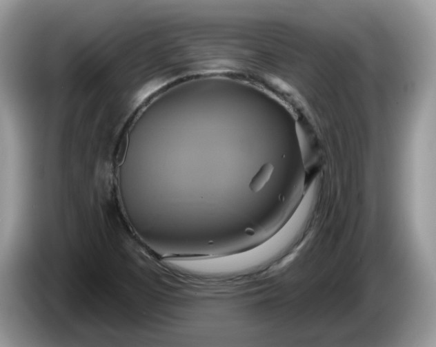 X0000086221457200704121848