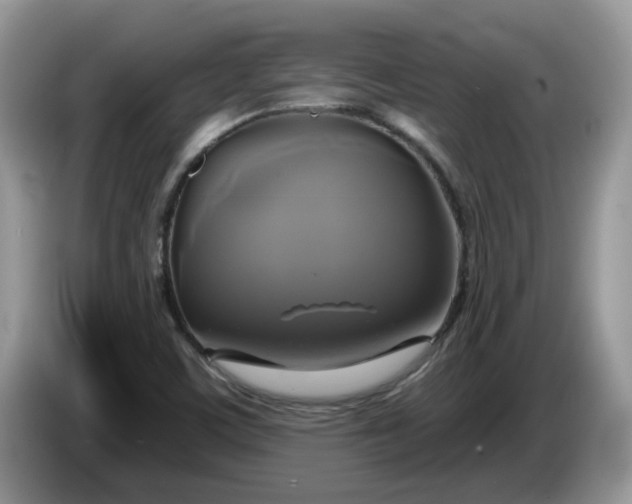 X0000086221459200704121848