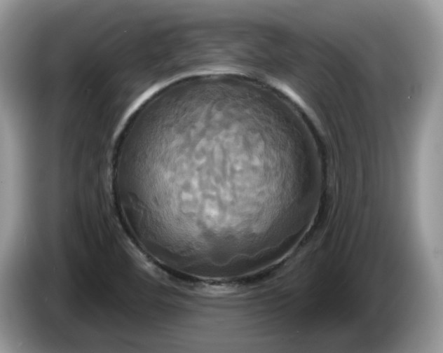 X0000086221460200704121848