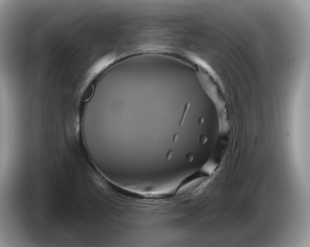 X0000086221461200704121848