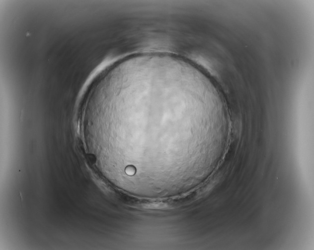 X0000086221462200704121848