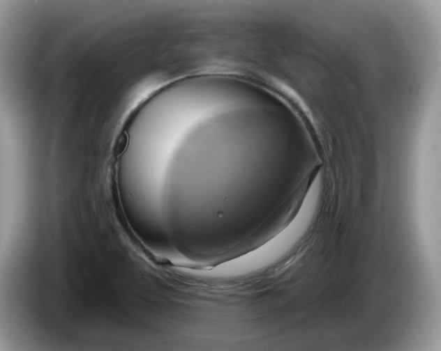 X0000086221463200704121848