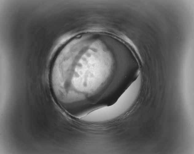 X0000086221464200704121848