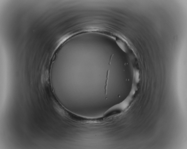 X0000086221465200704121848