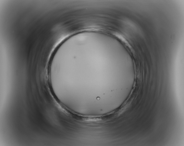 X0000086221466200704121848