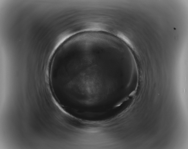 X0000086221468200704121848