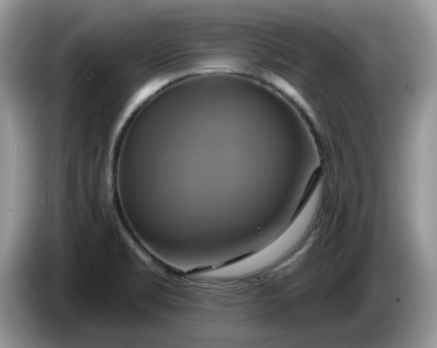 X0000086221469200704121848