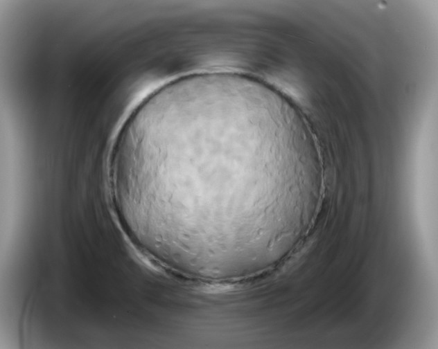 X0000086221470200704121848