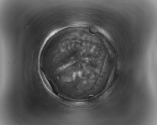 X0000086221471200704121848