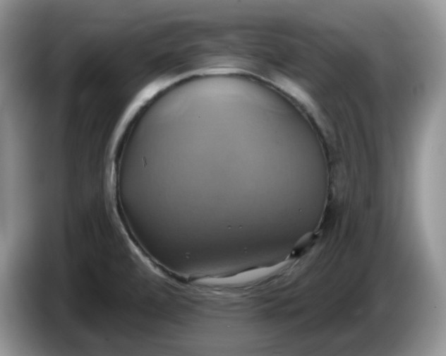 X0000086221472200704121848