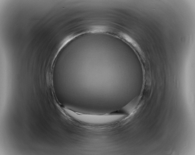 X0000086221473200704121848