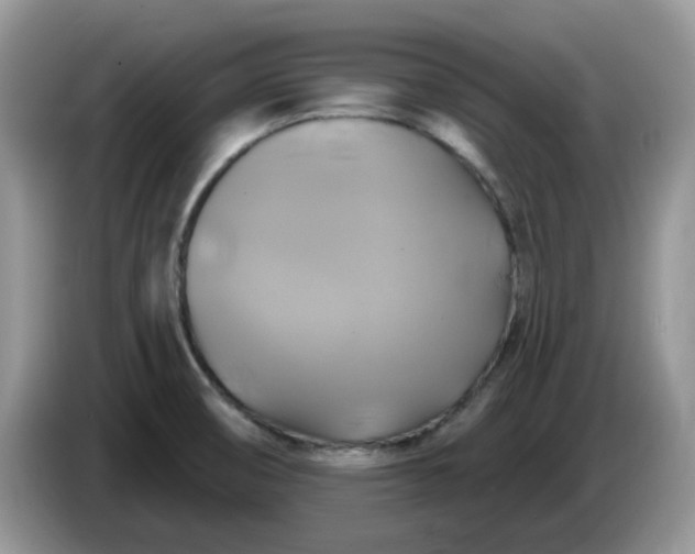 X0000086221474200704121848