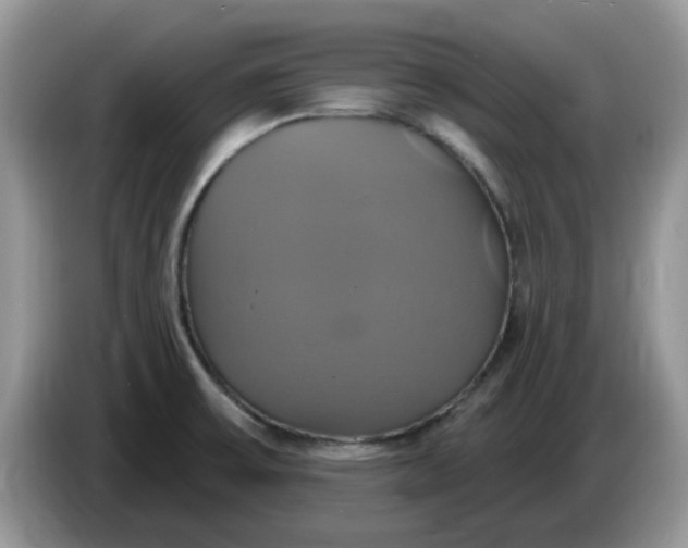 X0000086221475200704121848