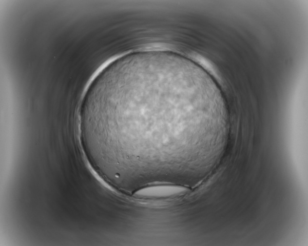 X0000086221476200704121848