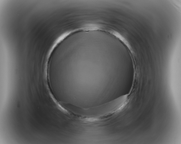 X0000086221477200704121848