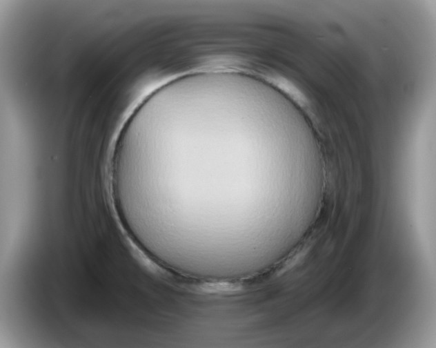 X0000086221478200704121848