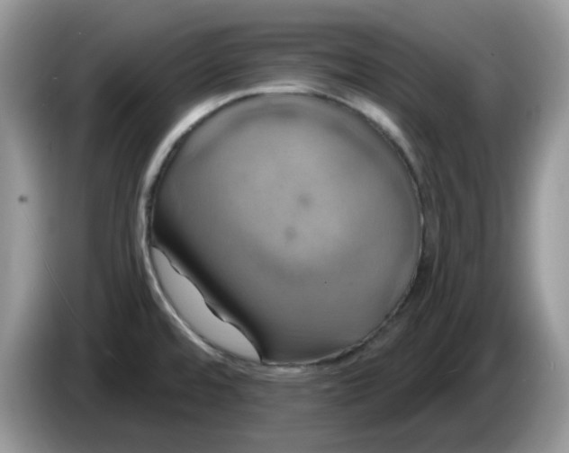 X0000086221480200704121848