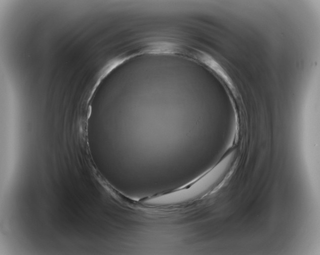 X0000086221481200704121848