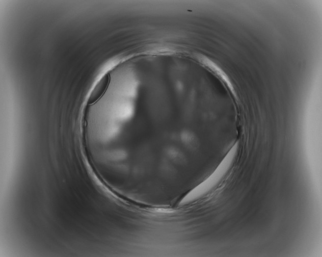 X0000086221483200704121848