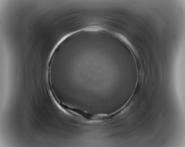 X0000086221484200704121848