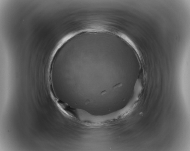 X0000086221485200704121848