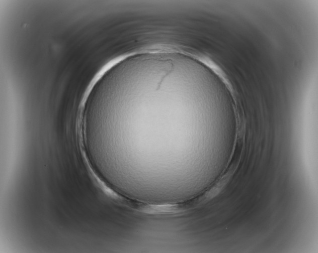 X0000086221486200704121848