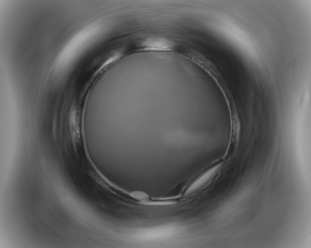 X0000086221487200704121848