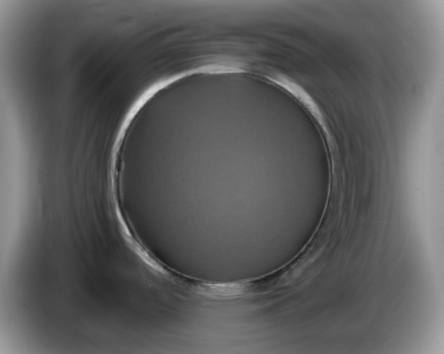 X0000086221488200704121848