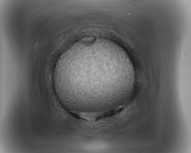 X0000086221489200704121847